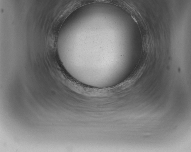 X0000085820044200703301605