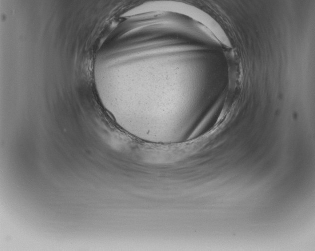 X0000085820045200703301605