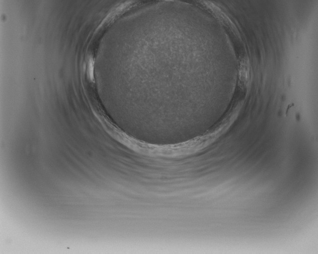 X0000085820046200703301605