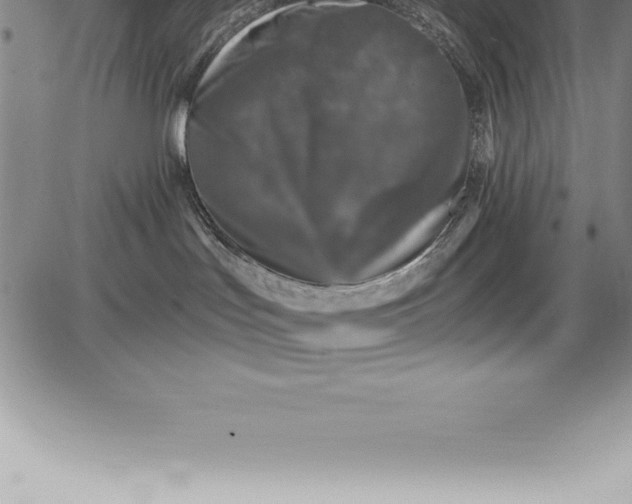 X0000085820047200703301605