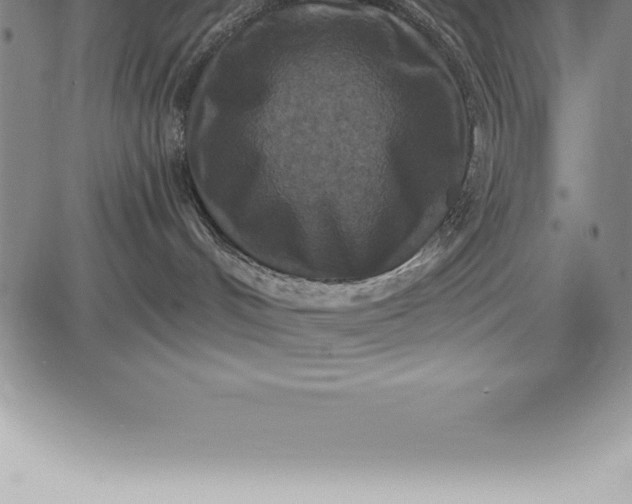 X0000085820048200703301605