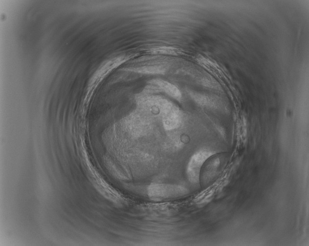 X0000085820049200703301604