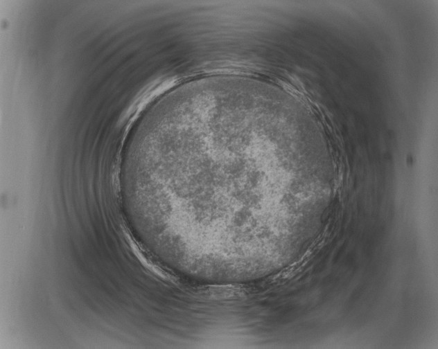 X0000085820050200703301604