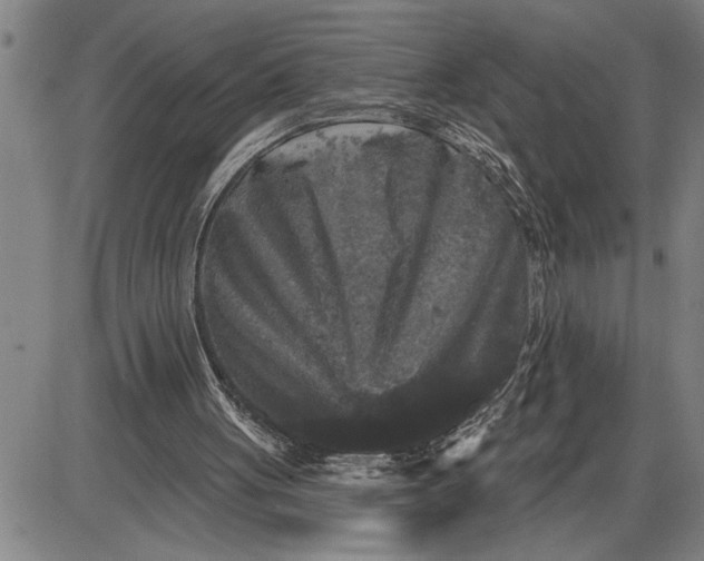 X0000085820051200703301604