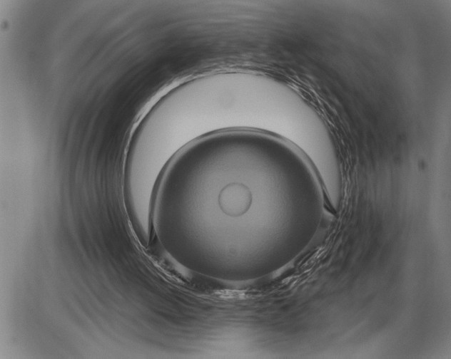 X0000085820052200703301604