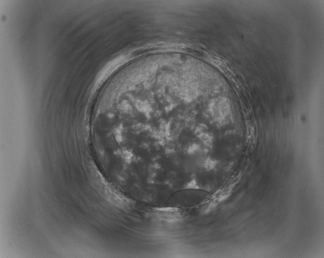 X0000085820053200703301604