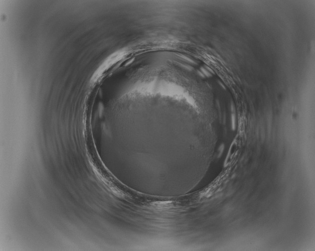 X0000085820054200703301604