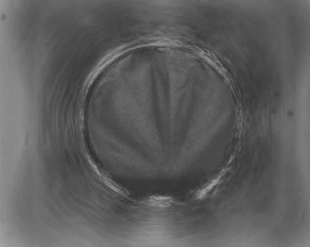 X0000085820055200703301604