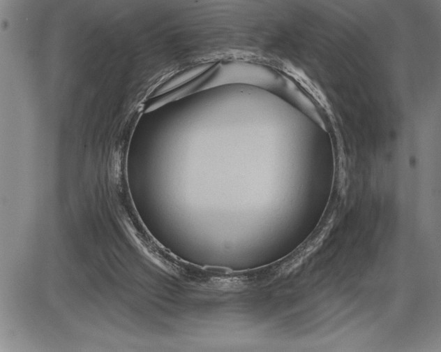 X0000085820057200703301604