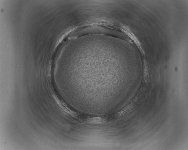 X0000085820058200703301604