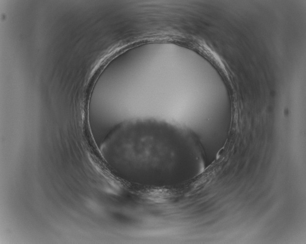 X0000085820059200703301604