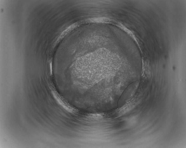 X0000085820061200703301604