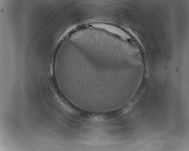 X0000085820062200703301604