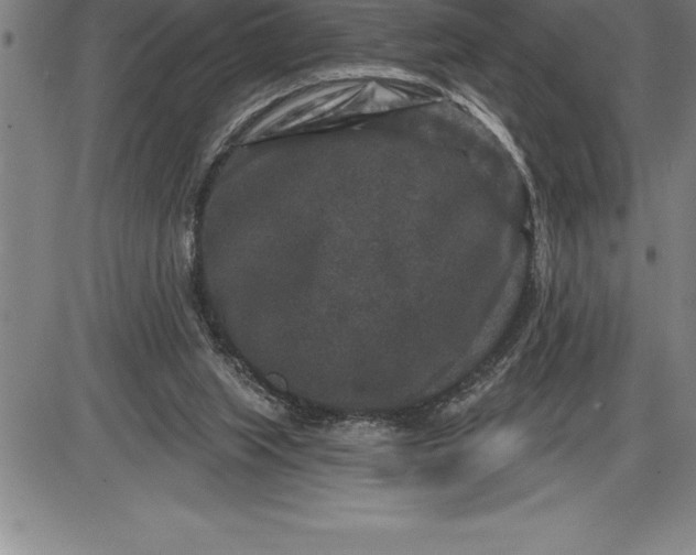 X0000085820063200703301604