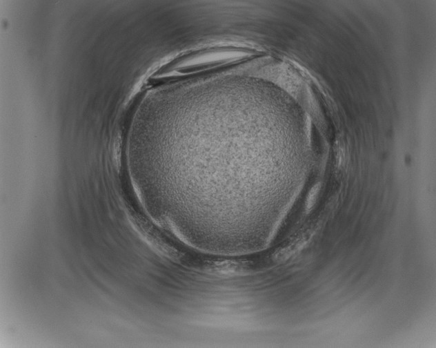 X0000085820064200703301604