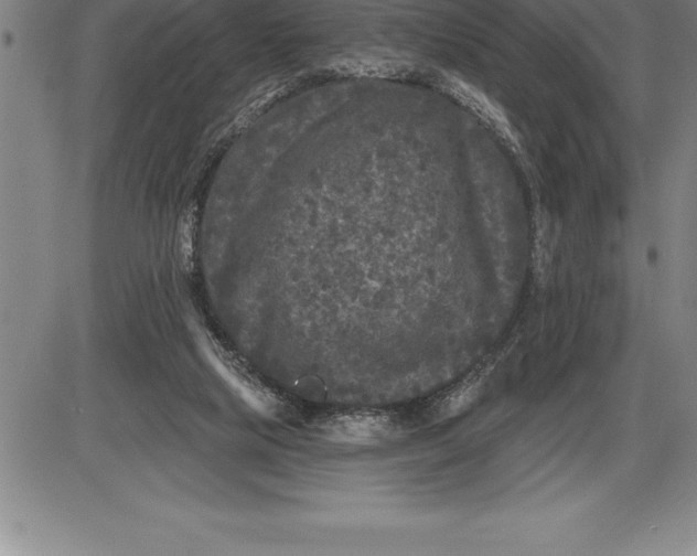 X0000085820065200703301604