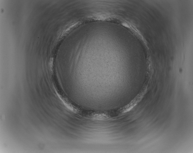 X0000085820066200703301604