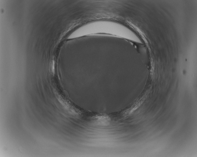 X0000085820067200703301604