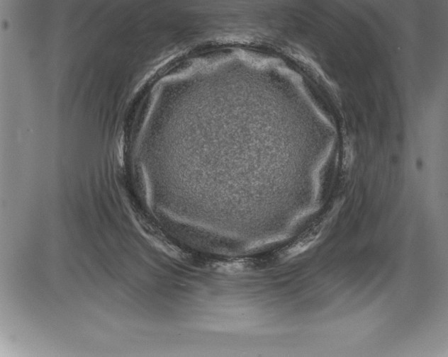 X0000085820068200703301604