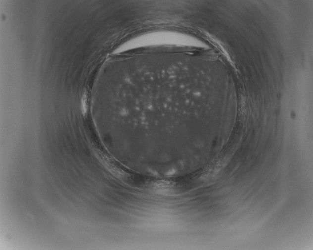 X0000085820069200703301604