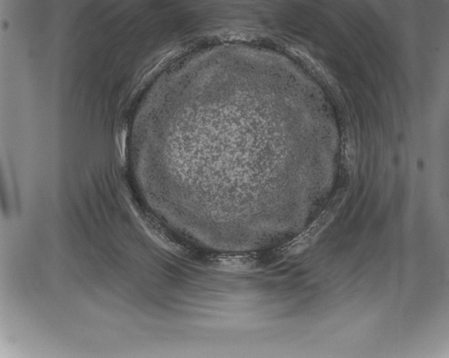 X0000085820070200703301604