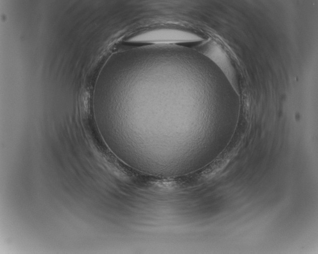 X0000085820071200703301604