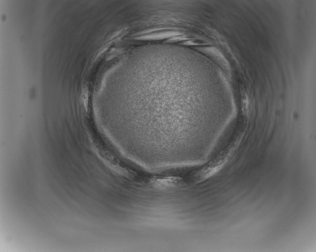 X0000085820072200703301604