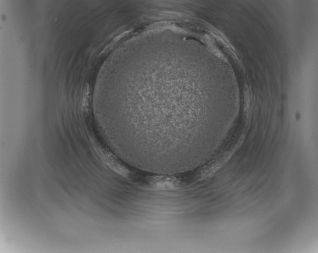 X0000085820073200703301604