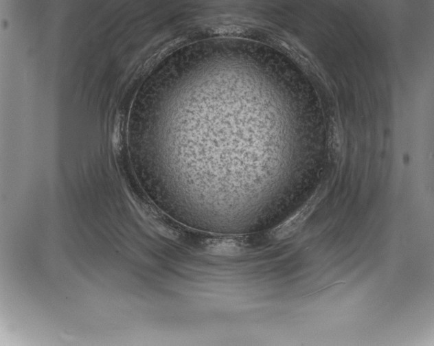 X0000085820074200703301604