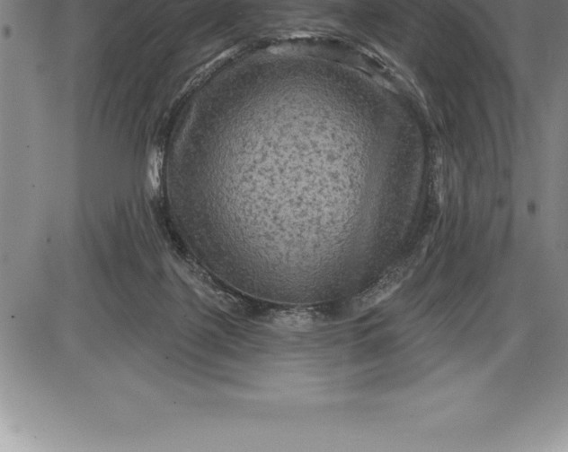 X0000085820075200703301604