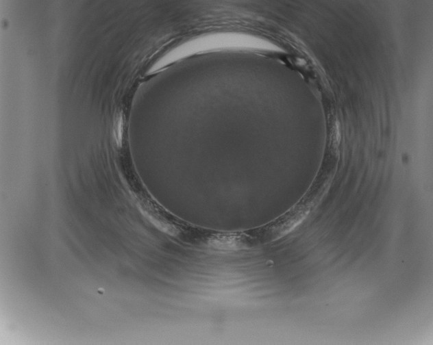 X0000085820076200703301604