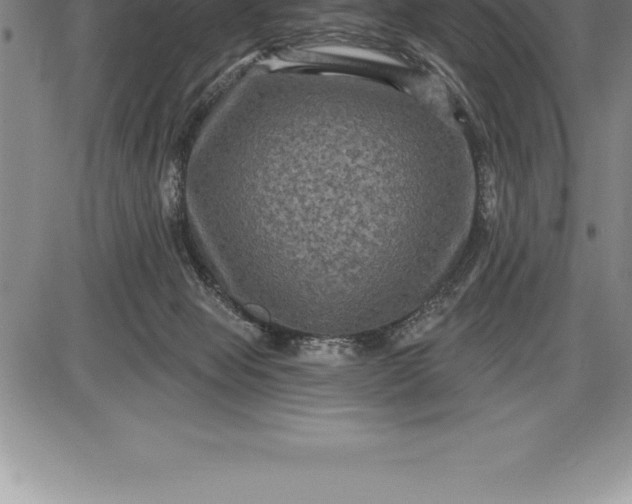 X0000085820077200703301604