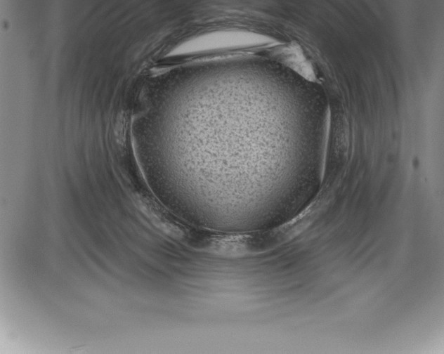 X0000085820078200703301604