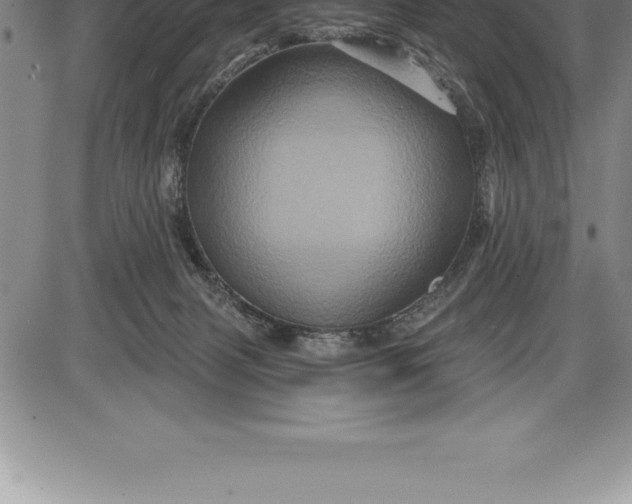 X0000085820079200703301604