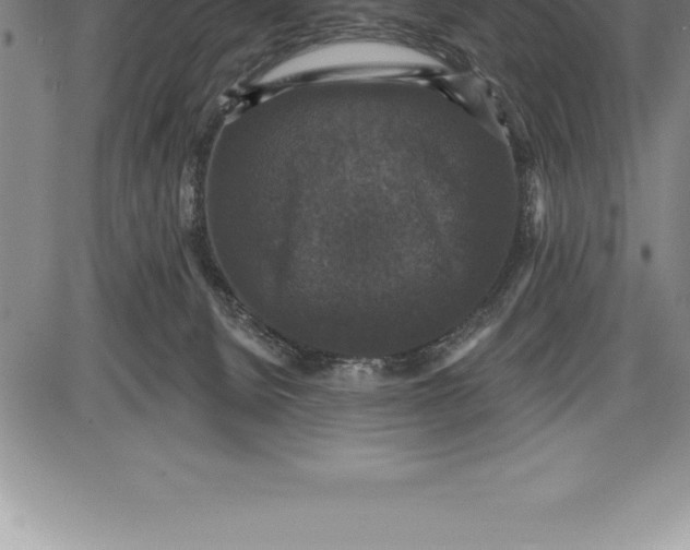 X0000085820080200703301604