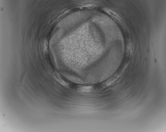 X0000085820081200703301604