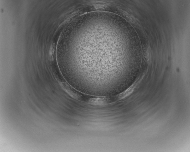 X0000085820082200703301604