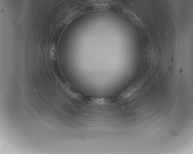 X0000085820083200703301604