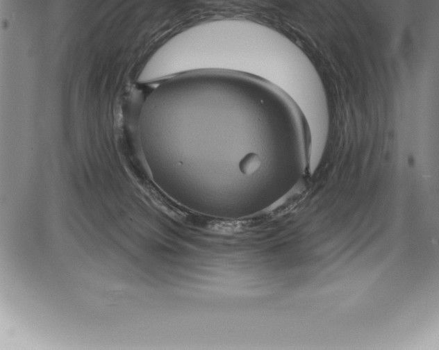 X0000085820084200703301604