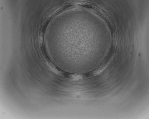 X0000085820085200703301604