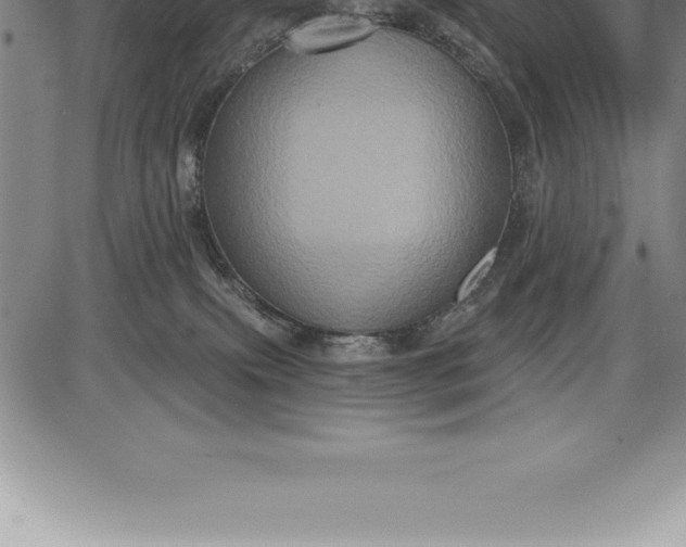 X0000085820087200703301604