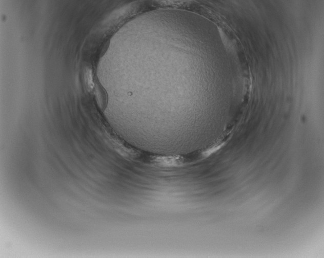 X0000085820089200703301604