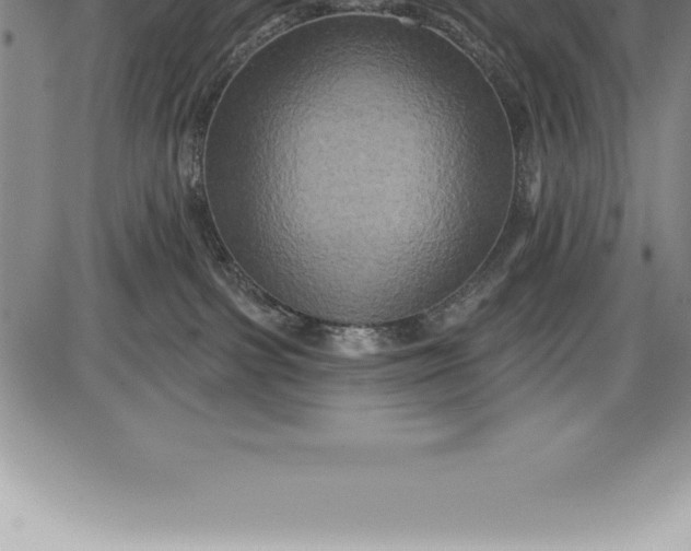 X0000085820091200703301604