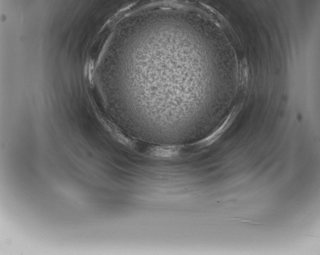 X0000085820094200703301605