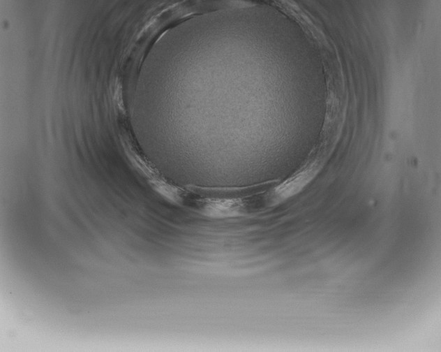 X0000085820096200703301605