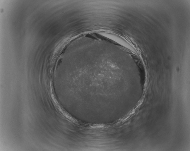 X0000085820097200703301604