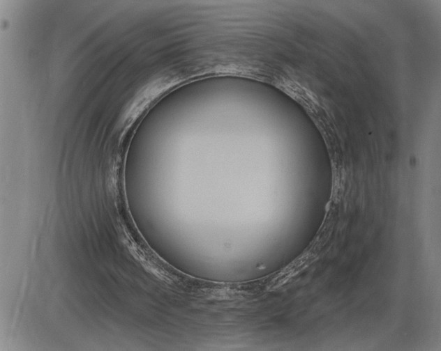 X0000085820098200703301604