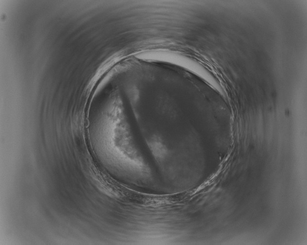 X0000085820099200703301604