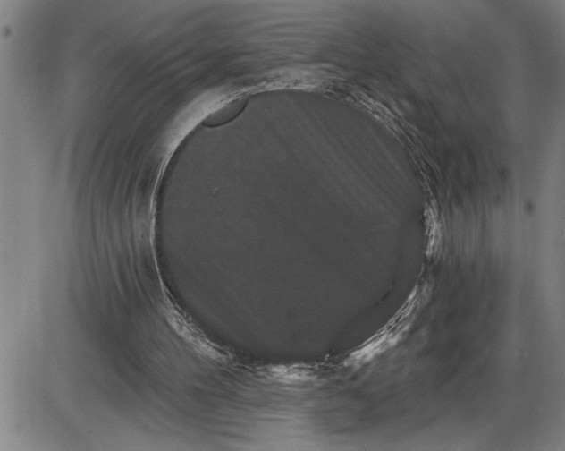 X0000085820100200703301604