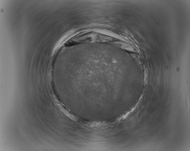 X0000085820101200703301604